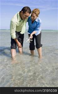 Mid adult couple playing with a starfish in water