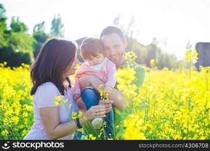 Mid adult couple with toddler daughter in field of yellow blossoms