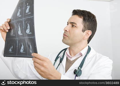 Mid adult doctor examines x-ray