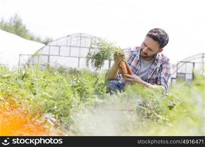 Mid adult farmer examining organic carrots at farm