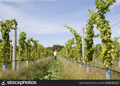 Mid adult woman in vineyard with vines