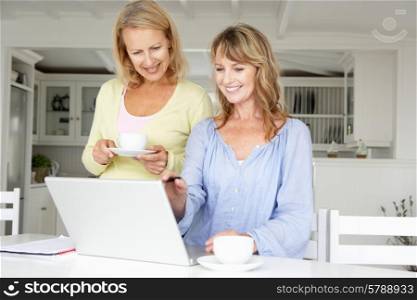 Mid age women using laptop at home
