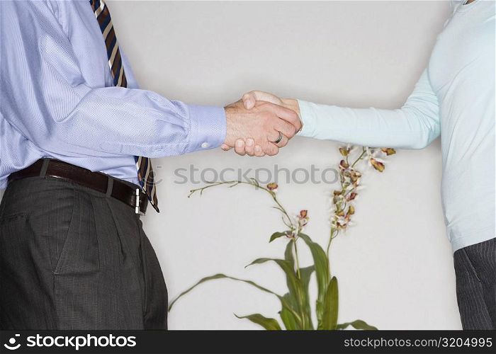 Mid section view of a businessman and a businesswoman shaking their hands