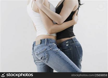 Mid section view of a female homosexual couple embracing each other