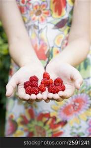 Mid section view of a girl&acute;s hands holding raspberries