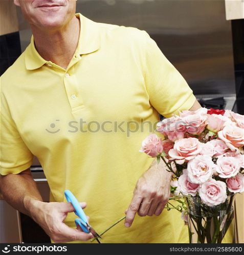 Mid section view of a mature man cutting a stem of roses