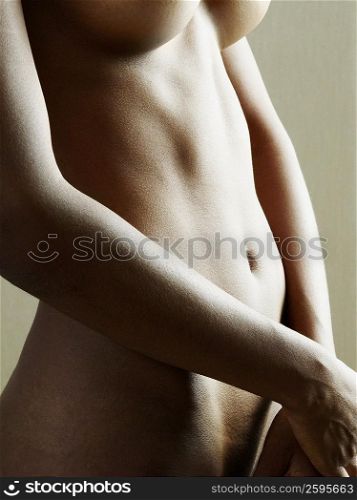 Mid section view of a naked woman