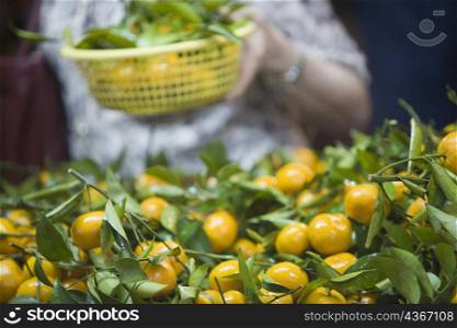 Mid section view of a person holding a basket of tangerines at a market stall