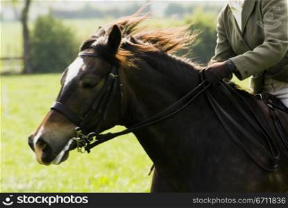 Mid section view of a person riding a horse