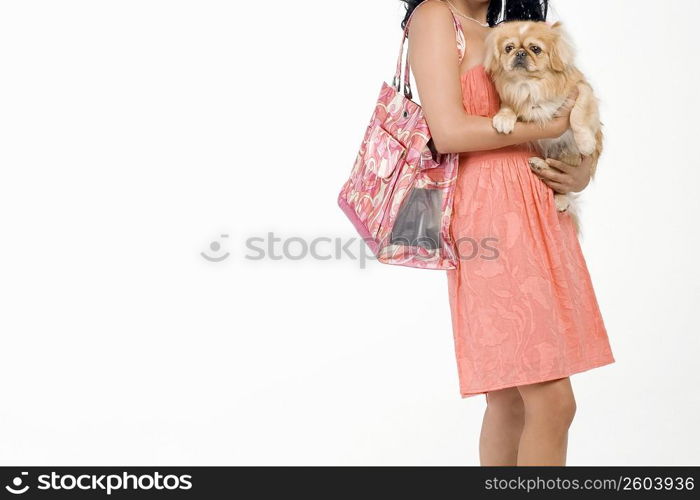 Mid section view of a young woman carrying a Pomeranian dog