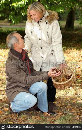 Middle aged couple going chestnut picking.