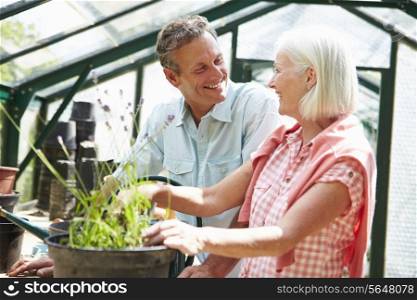 Middle Aged Couple Working Together In Greenhouse