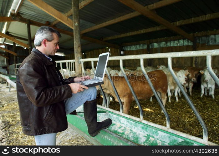 middle-aged stock breeder