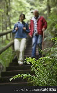 Middle-aged woman and senior man on trail in forest, focus on fern in foreground