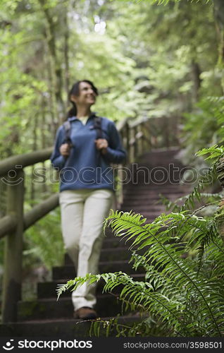 Middle aged woman on forest trail, focus on fern in foreground