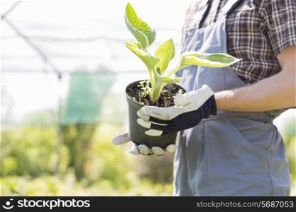 Midsection of gardener holding potted plant at nursery