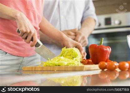 Midsection of woman chopping vegetables in kitchen with man standing in background