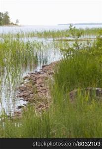 Midsummer landscape. Rocky beach, fresh green reeds and horizon. Lake Vanern, Varmland, Sweden on Midsummer.