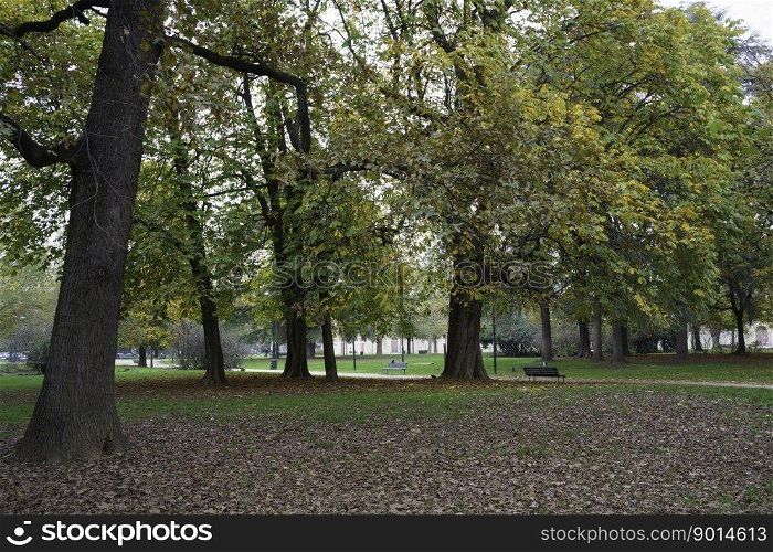 Milan, Lombardy, Italy  the Sempione park in November