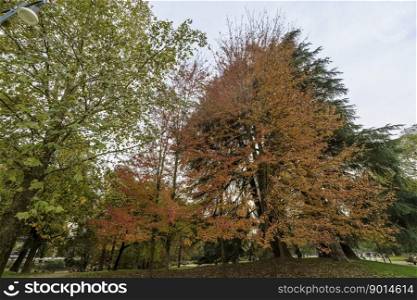 Milan, Lombardy, Italy: the Sempione park in November