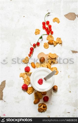 Milk dessert with cereal , nuts and wild berries. On rustic background.. Milk dessert with cereal , nuts and wild berries.
