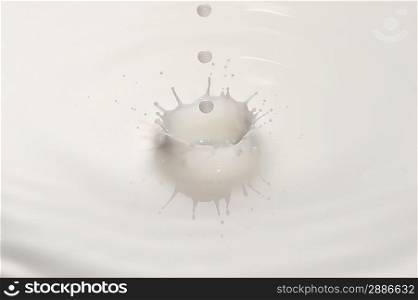 Milk drop ripple close up