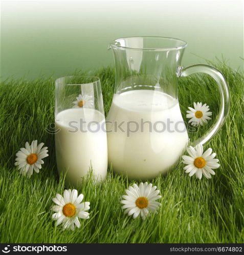 Milk in jar and glass on flower meadow. Milk in jar and glass on fresh grass meadow with chamomiles