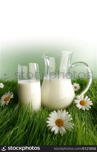 Milk in jar and glass on fresh grass meadow with chamomiles