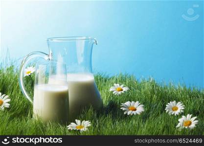 Milk jug and glass on flower field. Milk jug and glass on fresh green grass with chamomiles