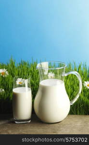 Milk jug and glass on fresh green grass with chamomiles