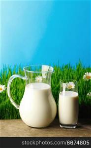 Milk jug and glass on fresh green grass with chamomiles. Milk jug and glass on flower field