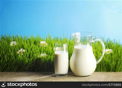 Milk jug and glass on the grass with chamomiles background