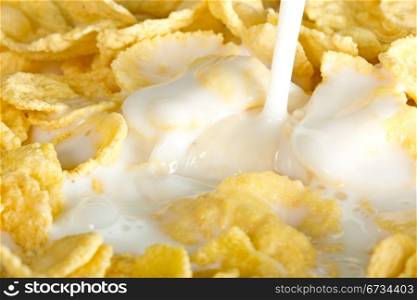 milk pouring on a nutritious and delicious corn flake cereal