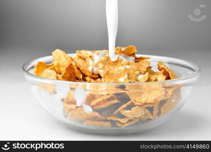 milk stream flowing to the bowl with corn flakes