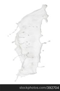 Milk white splash with droplets isolated on white background. Milk white splash with droplets