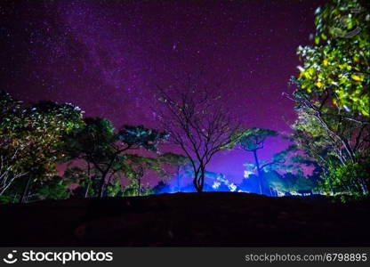 Milky Way and some trees