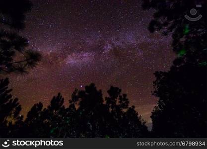 Milky Way and some trees