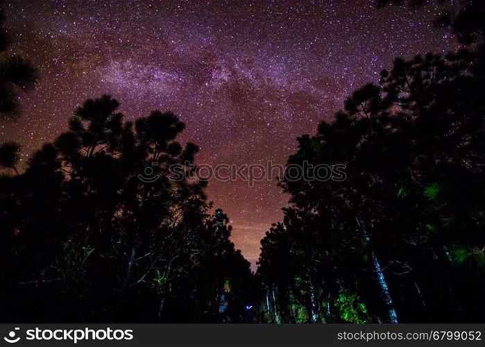 Milky Way and some trees