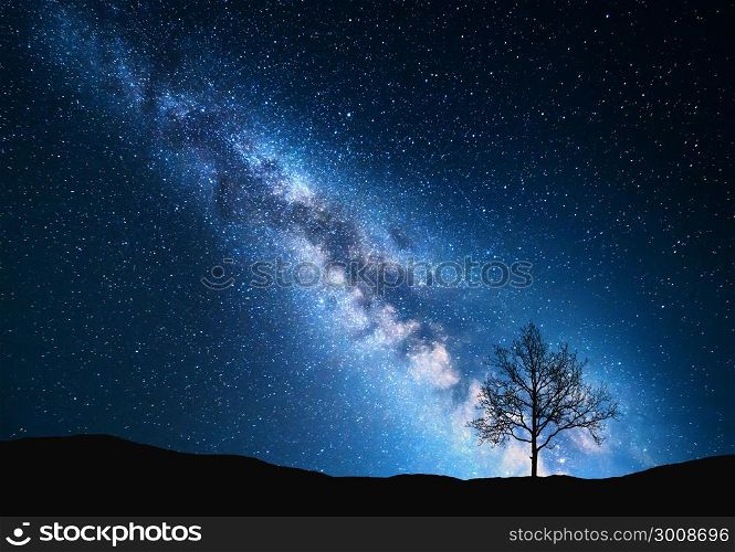 Milky Way and tree on the field. Little tree against night starry sky with blue milky way. Night landscape. Space background. Galaxy. Nature and travel background. Wilderness, wild nature