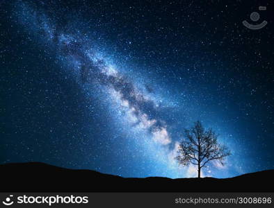 Milky Way and tree on the field. Little tree against night starry sky with blue milky way. Night landscape. Space background. Galaxy. Nature and travel background. Wilderness, wild nature