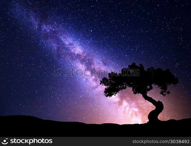 Milky Way and tree on the hill. . Milky Way and tree on the hill. Old tree growing out of the mountain against night starry sky with purple milky way. Night landscape. Space background. Galaxy. Travel.. Wilderness, wild nature