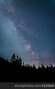 Milky way clear at night, silhouettes of trees
