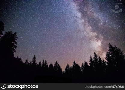 Milky way clear at night, silhouettes of trees