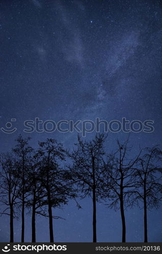 Milky Way galaxy image of night sky with natural silhouettes