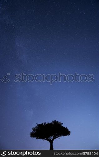 Milky Way galaxy image of night sky with natural silhouettes