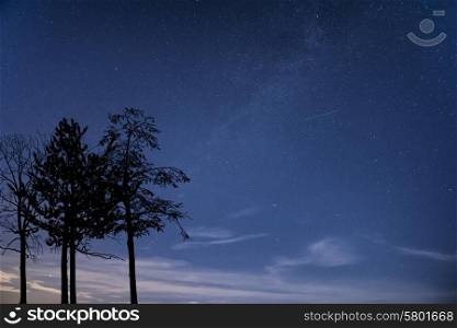 Milky Way galaxy image of night sky with natural silhouettes