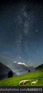 Milky Way. goats in the mountains. in the picturesque fjords of Norway