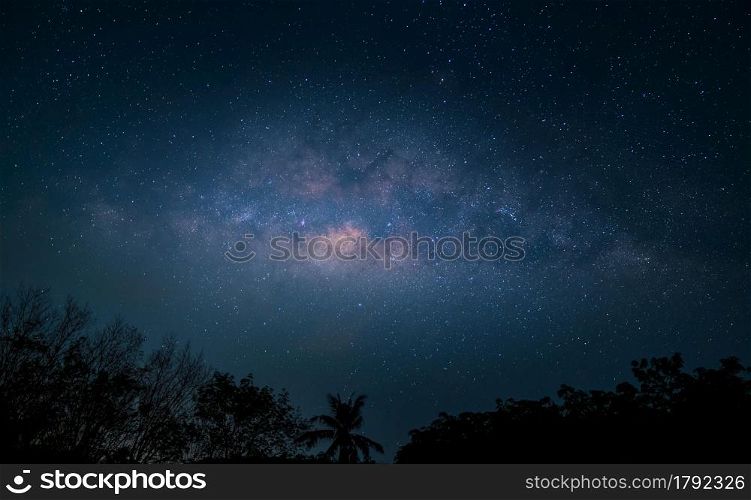 milky way over forest on night