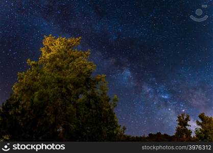 Milky Way over the Forest at the Troodos mountains. Photo taken over Kakopetria village in Cyprus
