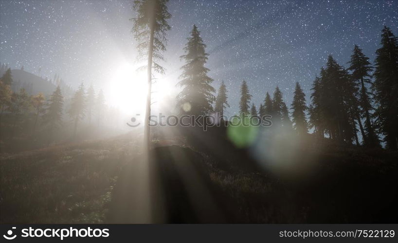 Milky Way stars with moonlight above pine trees forest